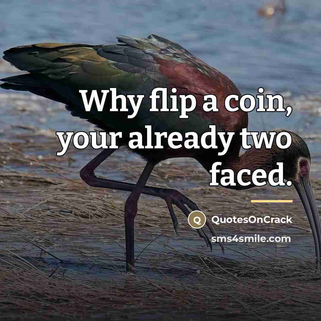 “Why flip a coin, your already two faced.…” quote by QuotesOnCrack