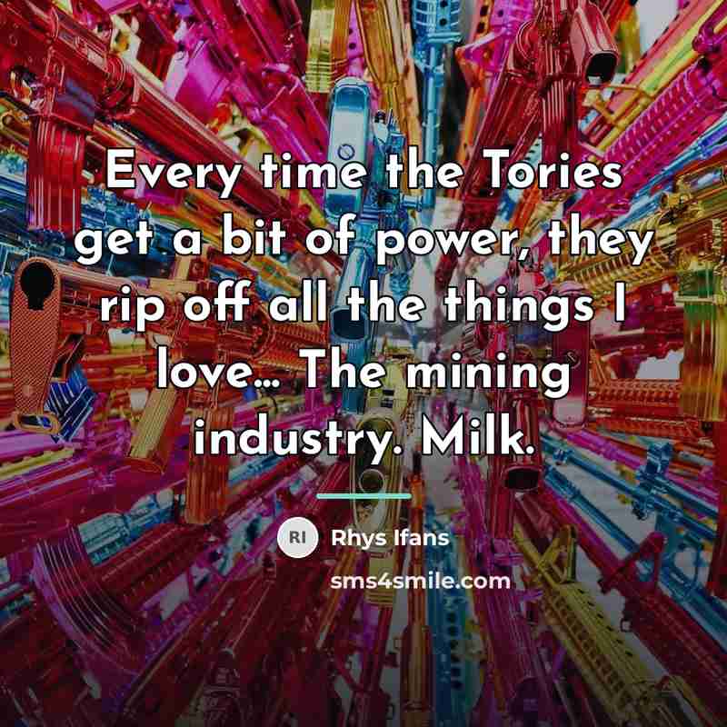 “Every time the Tories get a bit of power, they…” quote by Rhys Ifans