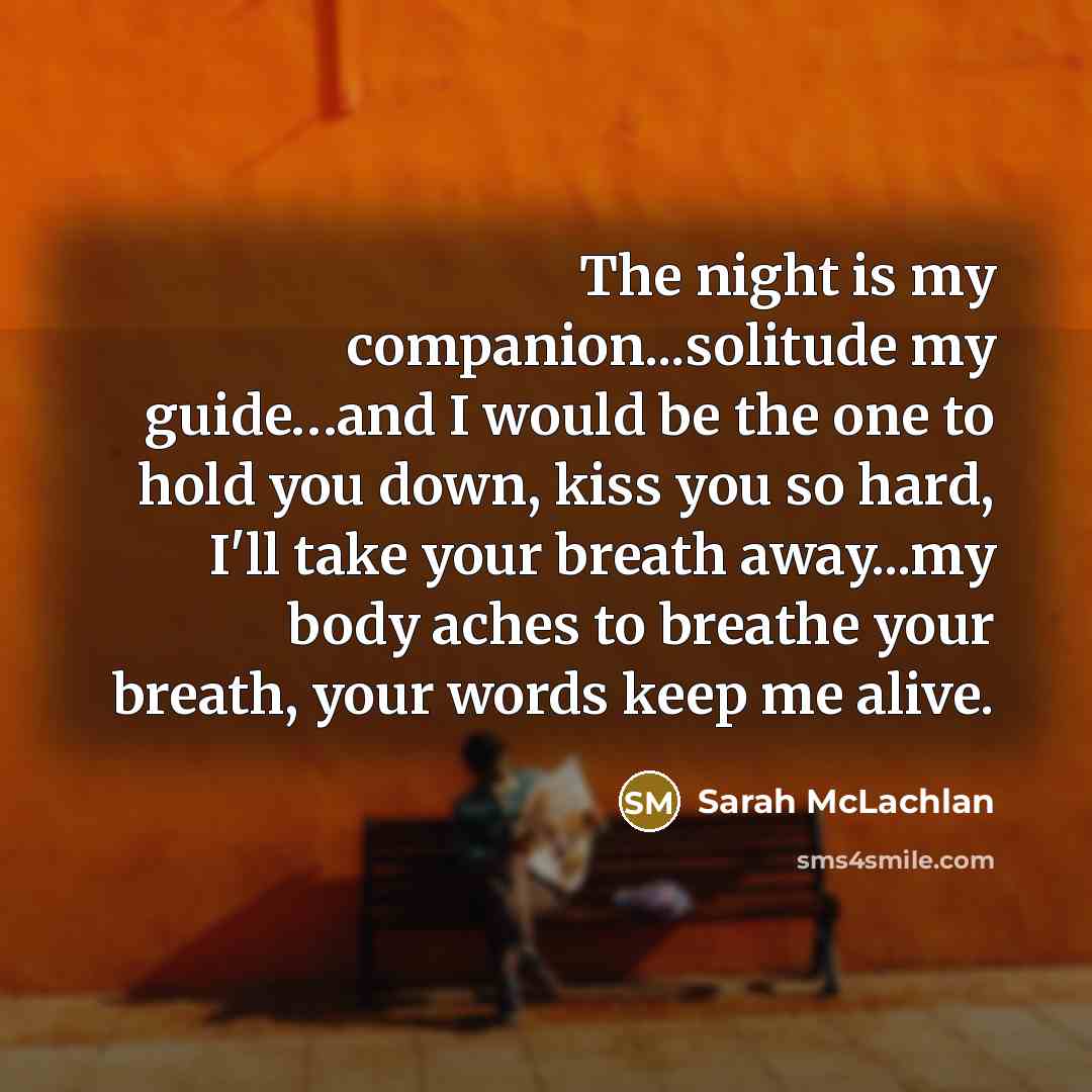 “The night is my companion...solitude my guide....and I would be…” quote by Sarah McLachlan