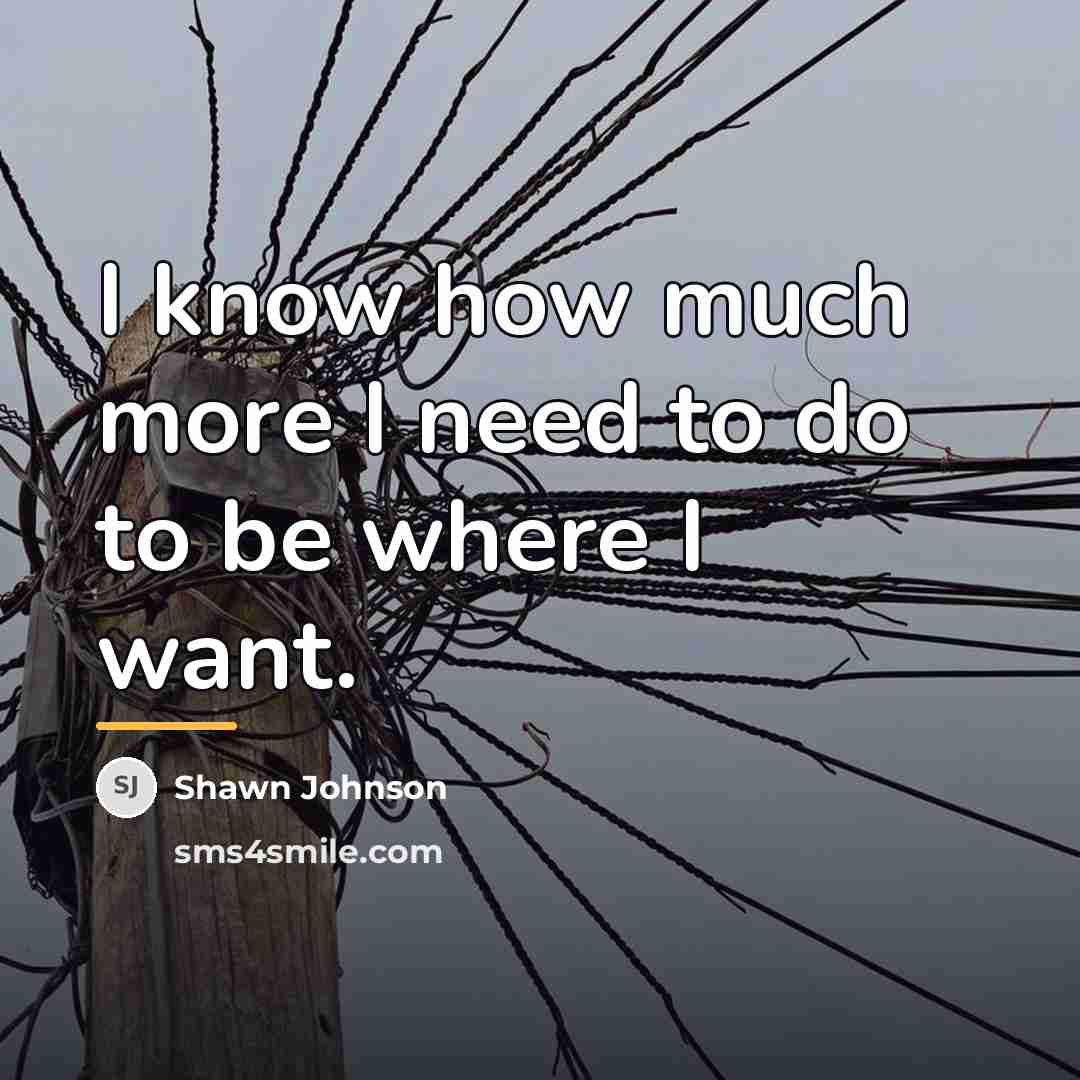 “I know how much more I need to do to…” quote by Shawn Johnson