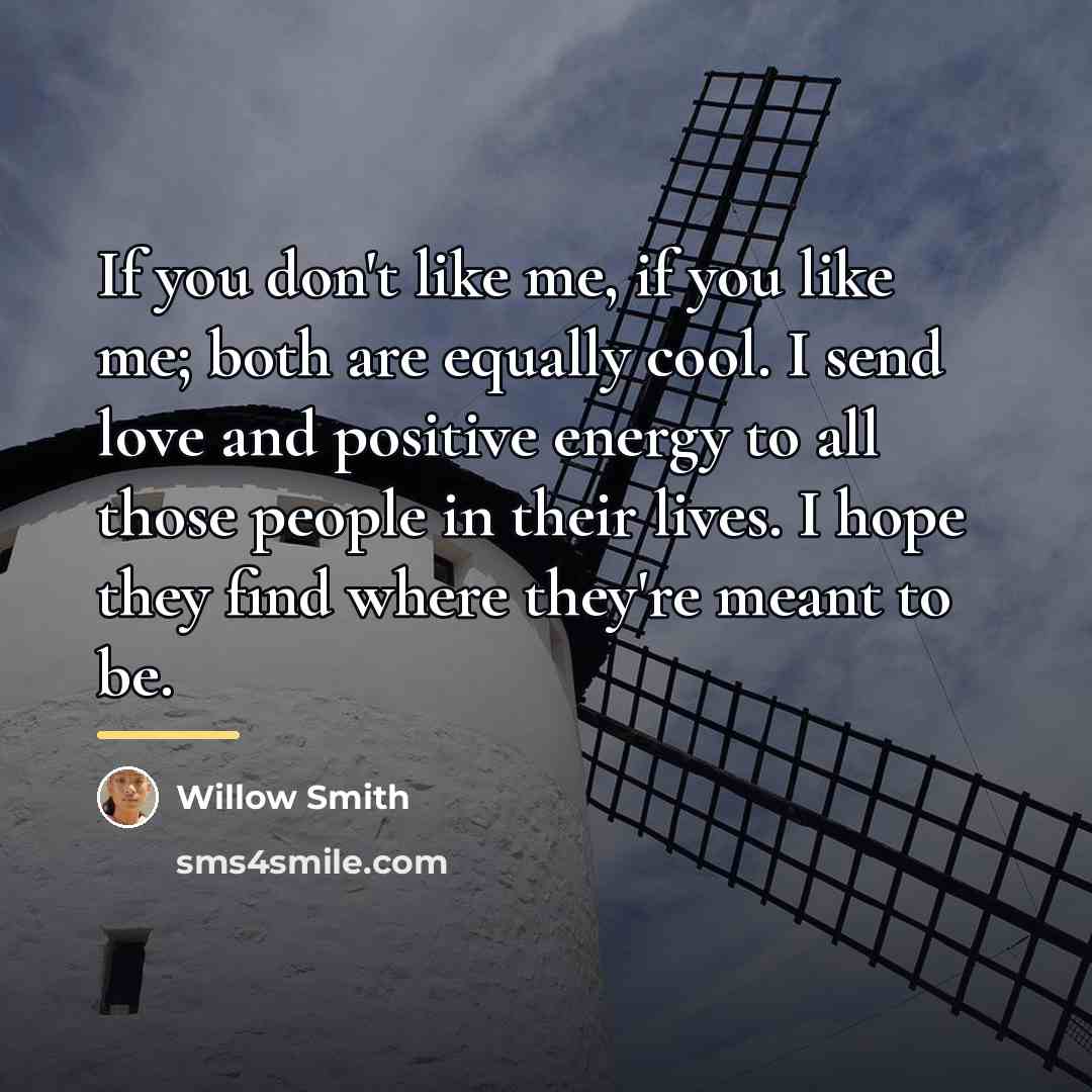 “If you don't like me, if you like me; both…” quote by Willow Smith