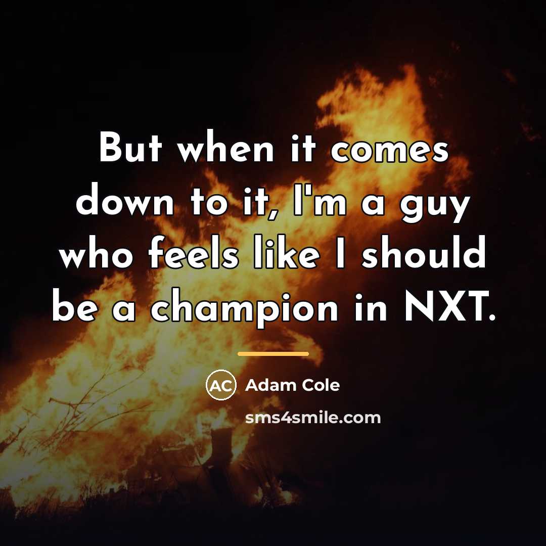 “But when it comes down to it, I'm a guy…” quote by Adam Cole