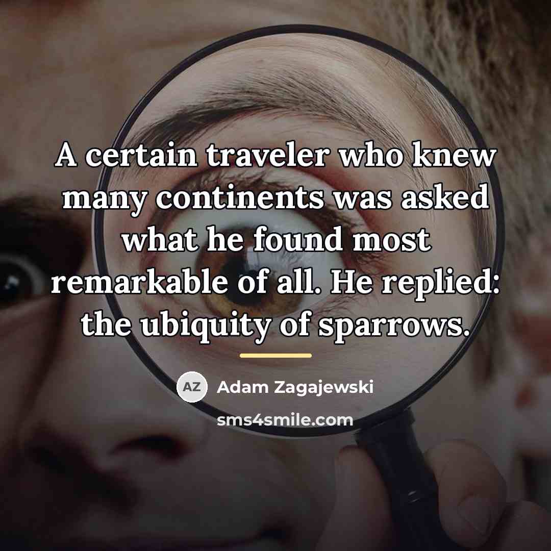 “A certain traveler who knew many continents was asked what…” quote by Adam Zagajewski