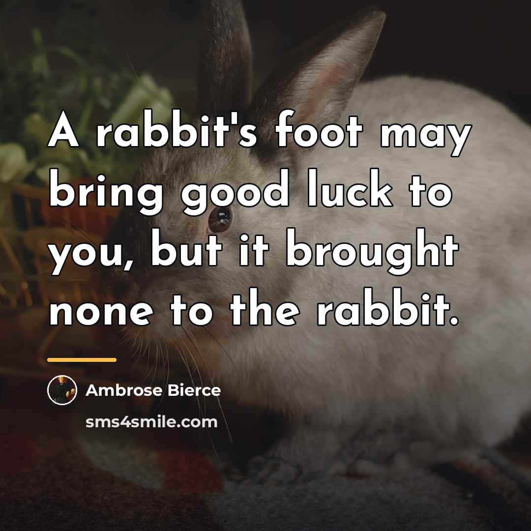 “A rabbit's foot may bring good luck to you, but…” quote by Ambrose Bierce