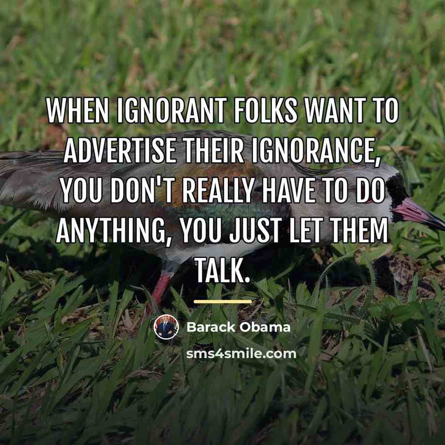 “When ignorant folks want to advertise their ignorance, you don't…” quote by Barack Obama
