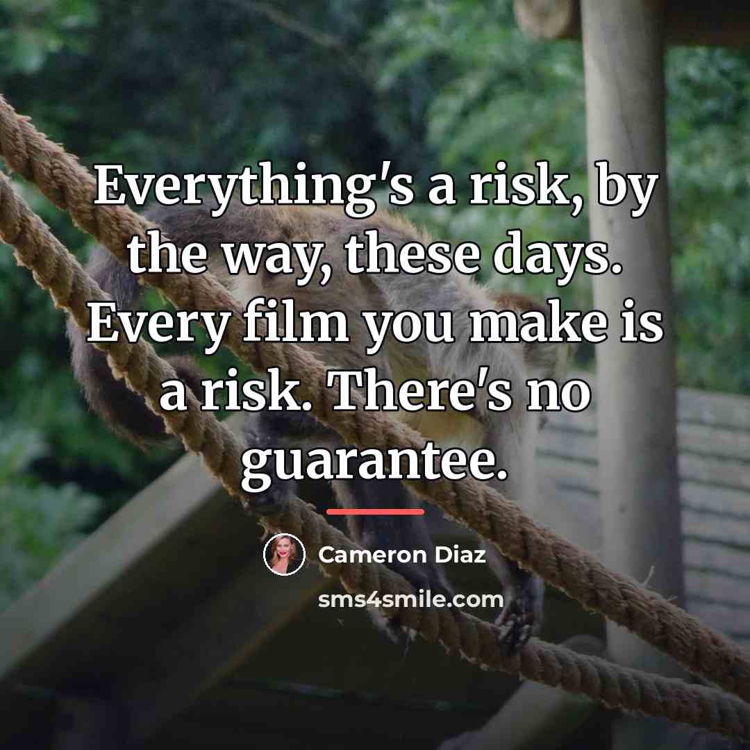 “Everything's a risk, by the way, these days. Every film…” quote by Cameron Diaz