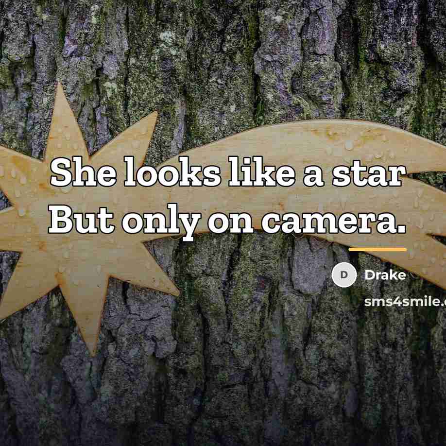 “She looks like a star But only on camera.…” quote by Drake