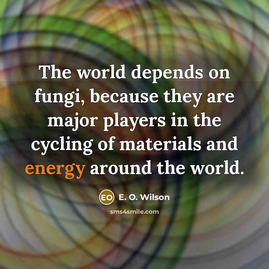 “The world depends on fungi, because they are major players…” quote by E. O. Wilson