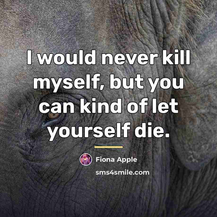 “I would never kill myself, but you can kind of…” quote by Fiona Apple