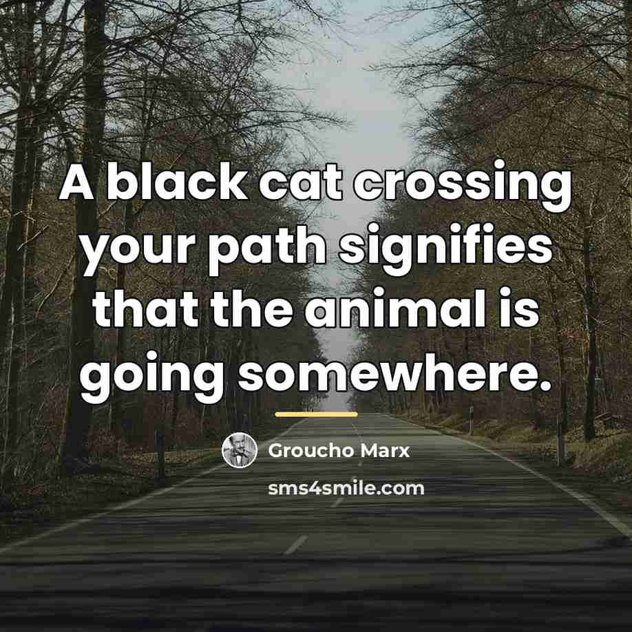 “A black cat crossing your path signifies that the animal…” quote by Groucho Marx