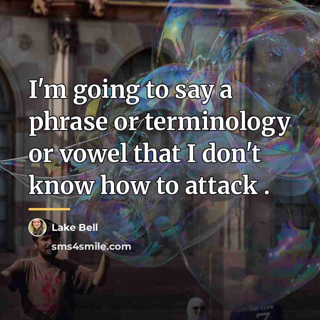 “I'm going to say a phrase or terminology or vowel…” quote by Lake Bell