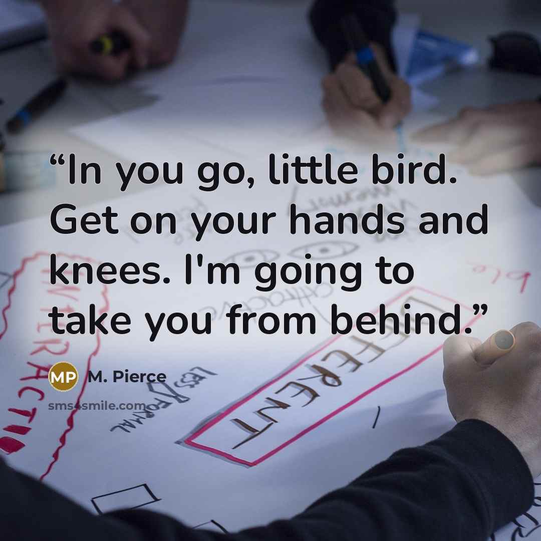 “In you go, little bird. Get on your hands and knees. I'm going to take you from behind.” quote by M. Pierce