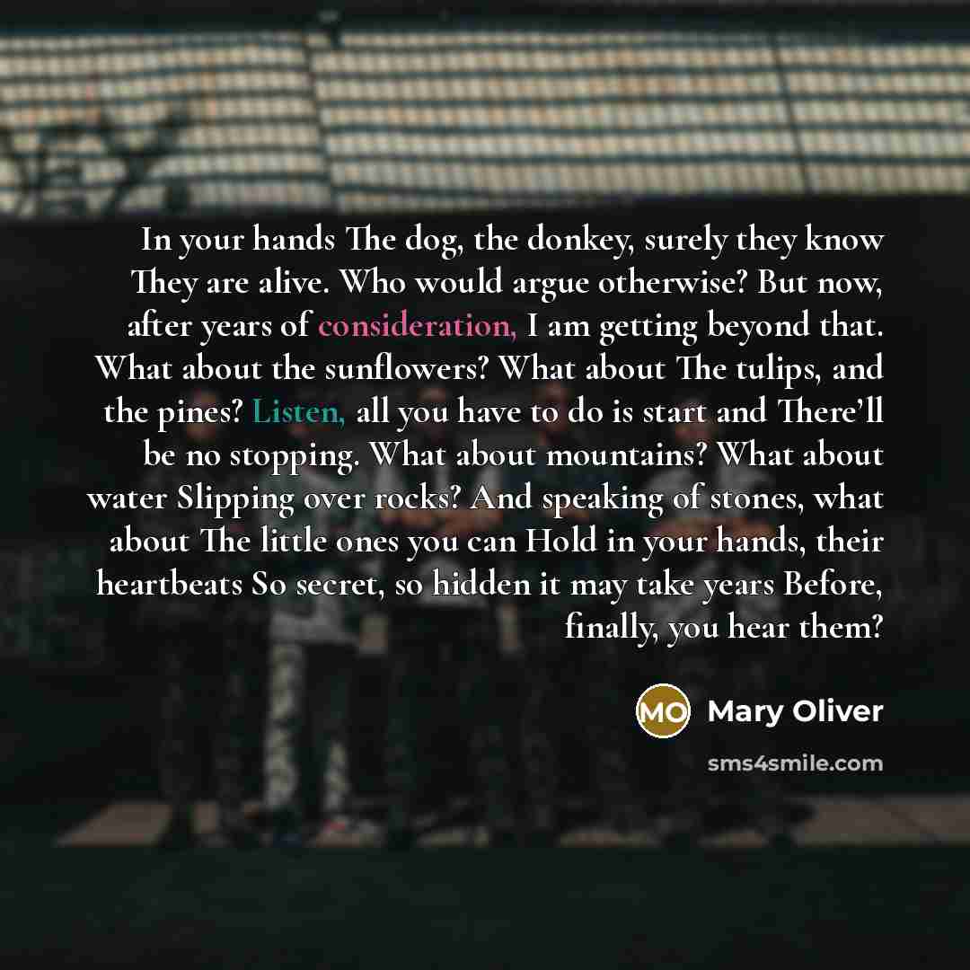 “In your hands The dog, the donkey, surely they know…” quote by Mary Oliver