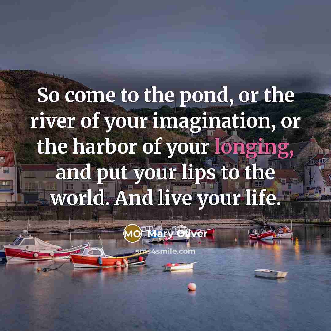 “So come to the pond, or the river of your…” quote by Mary Oliver