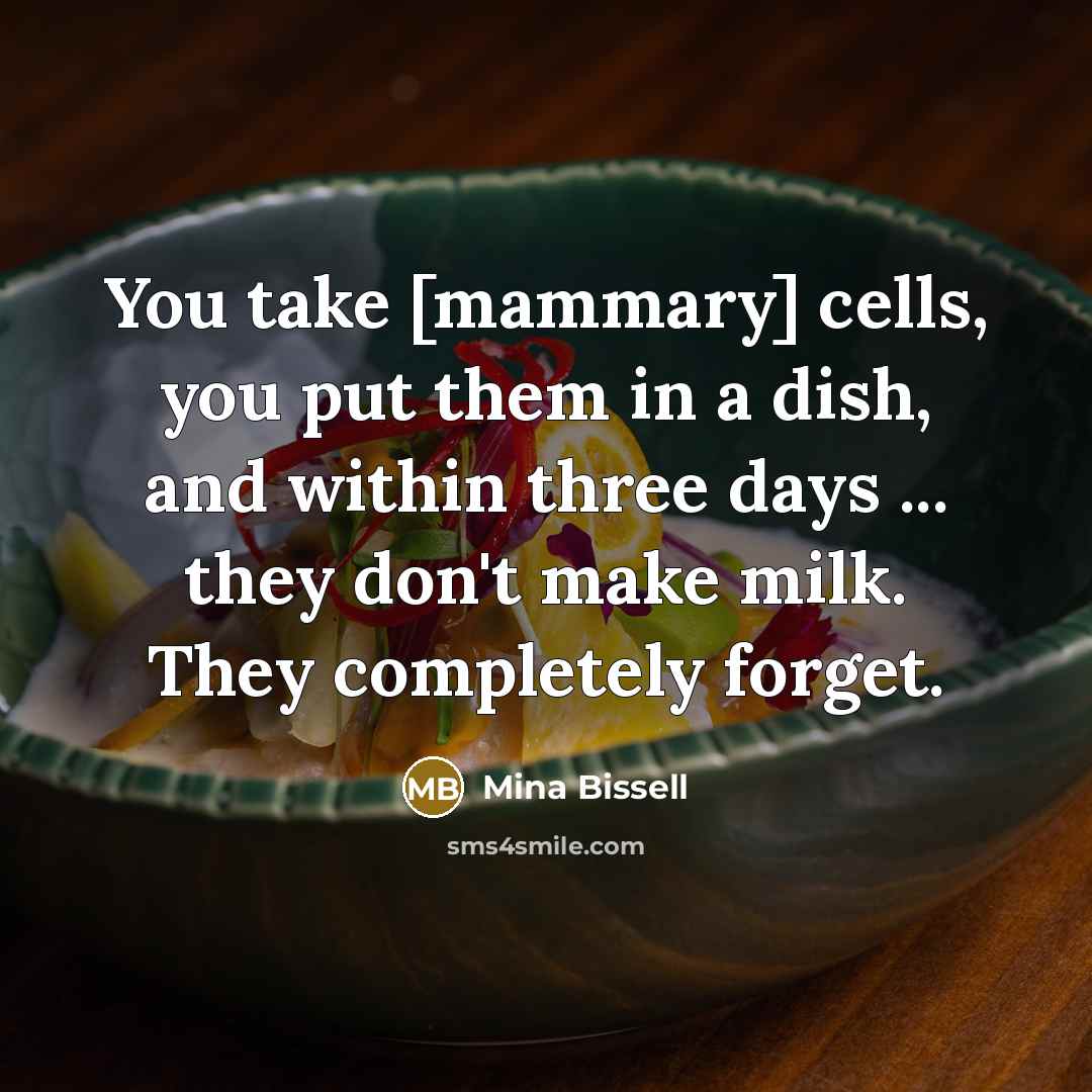 “You take [mammary] cells, you put them in a dish,…” quote by Mina Bissell