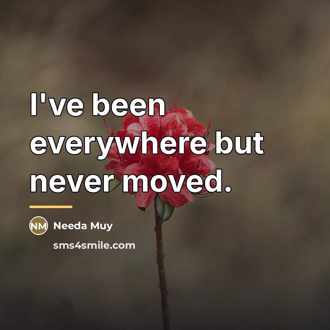 “I've been everywhere but never moved.…” quote by Needa Muy