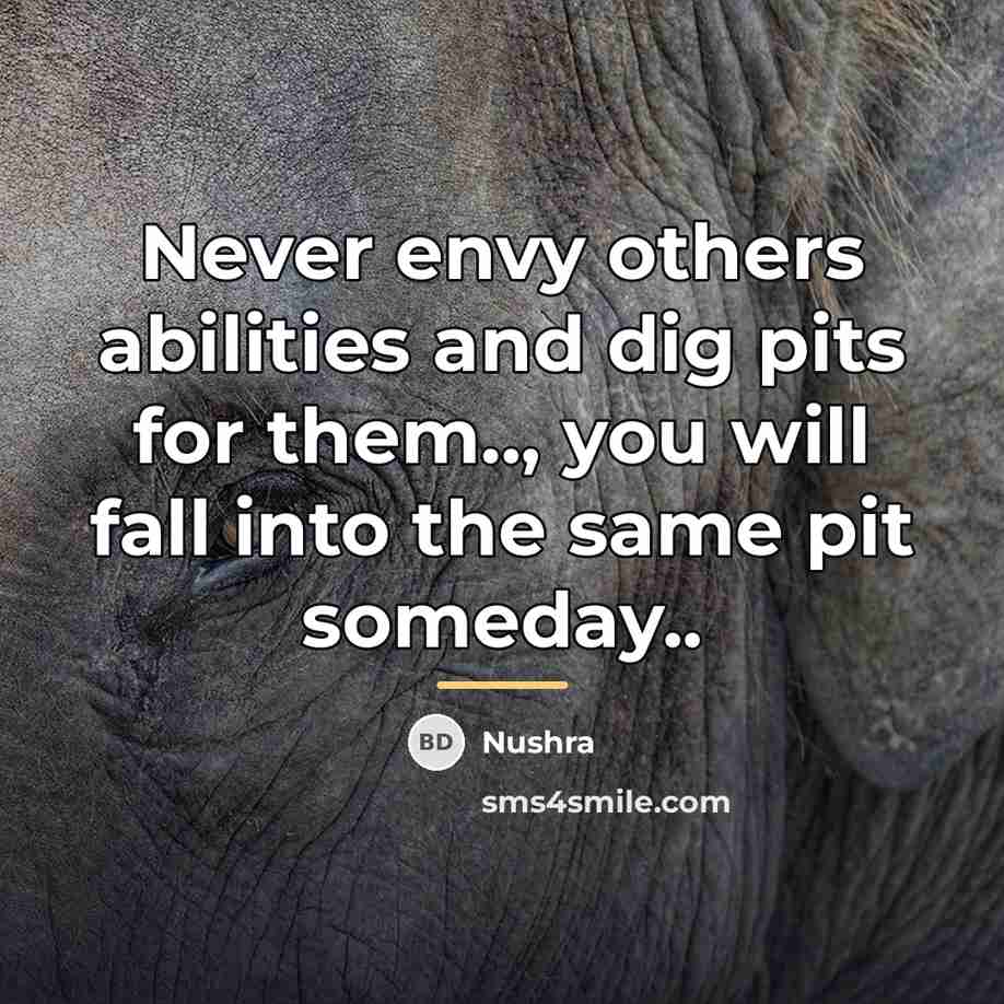 “Never envy others abilities and dig pits for them.., you…” quote by Nushra