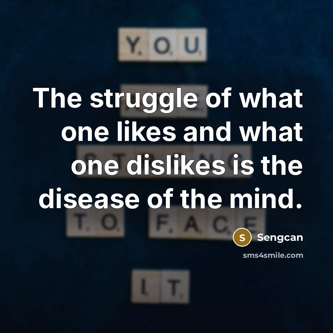 “The struggle of what one likes and what one dislikes…” quote by Sengcan