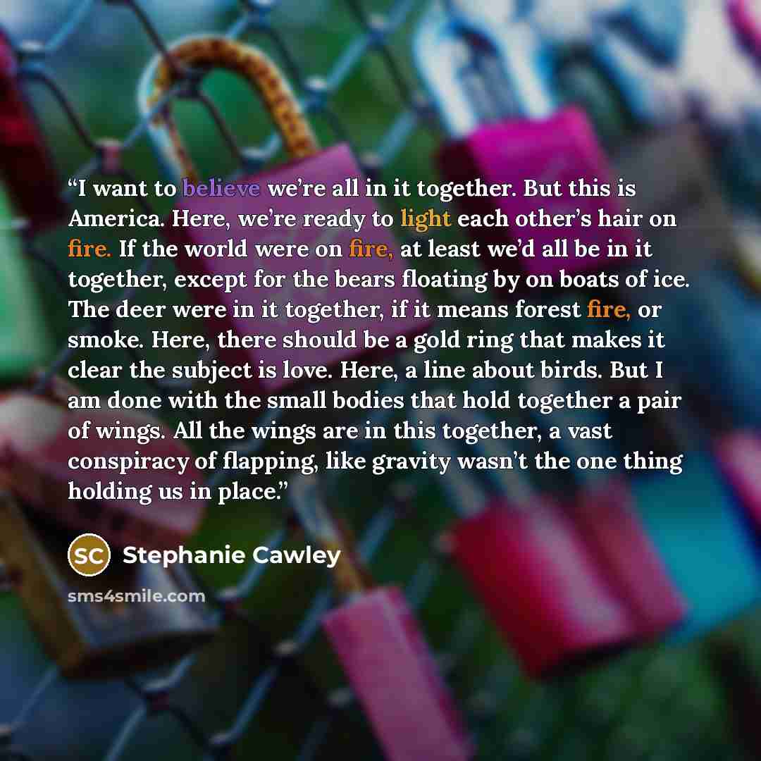 “I want to believe we’re all in it together. But this is America. Here, we’re ready to light each other’s hair on fire. If the world were on fire, at least we’d all be in it together, except for the bears floating by on boats of ice. The deer were in it together, if it means forest fire, or smoke…” quote by Stephanie Cawley