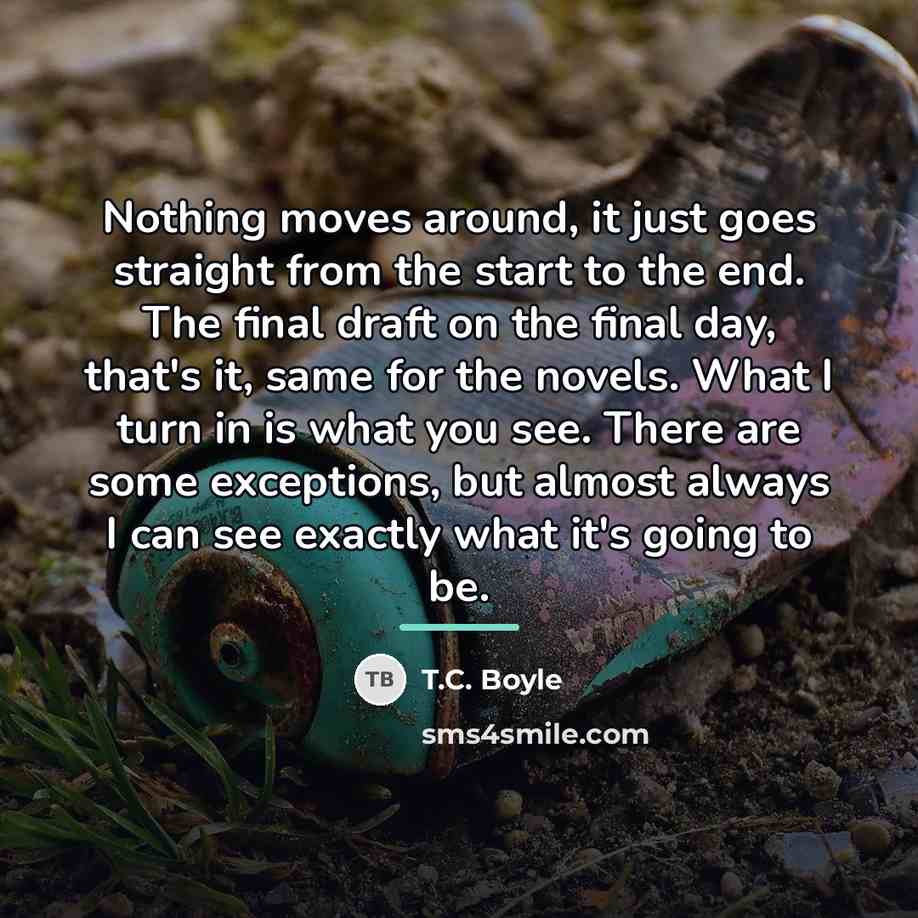 “Nothing moves around, it just goes straight from the start…” quote by T.C. Boyle