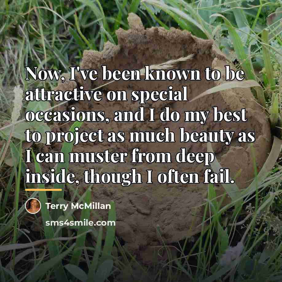 “Now, I've been known to be attractive on special occasions,…” quote by Terry McMillan