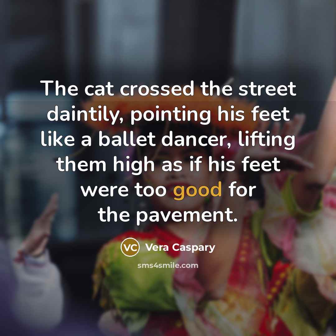 “The cat crossed the street daintily, pointing his feet like…” quote by Vera Caspary