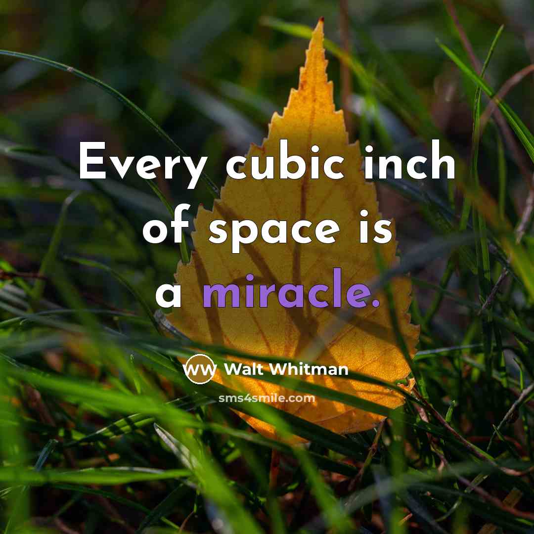 “Every cubic inch of space is a miracle.…” quote by Walt Whitman