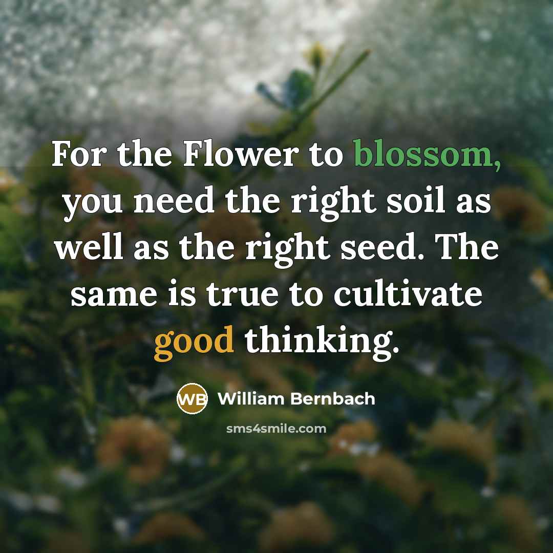 “For the Flower to blossom, you need the right soil…” quote by William Bernbach