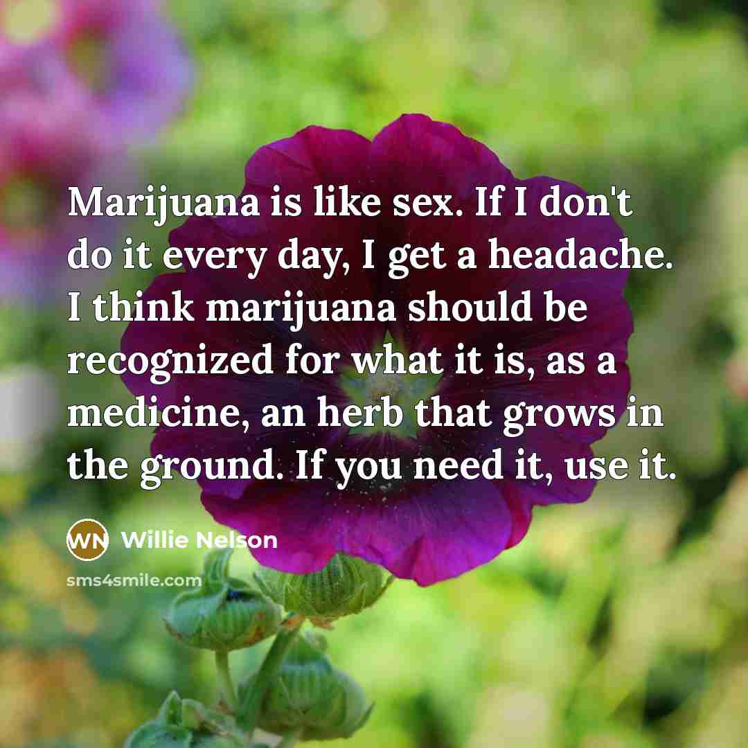 “Marijuana is like sex. If I don't do it every…” quote by Willie Nelson