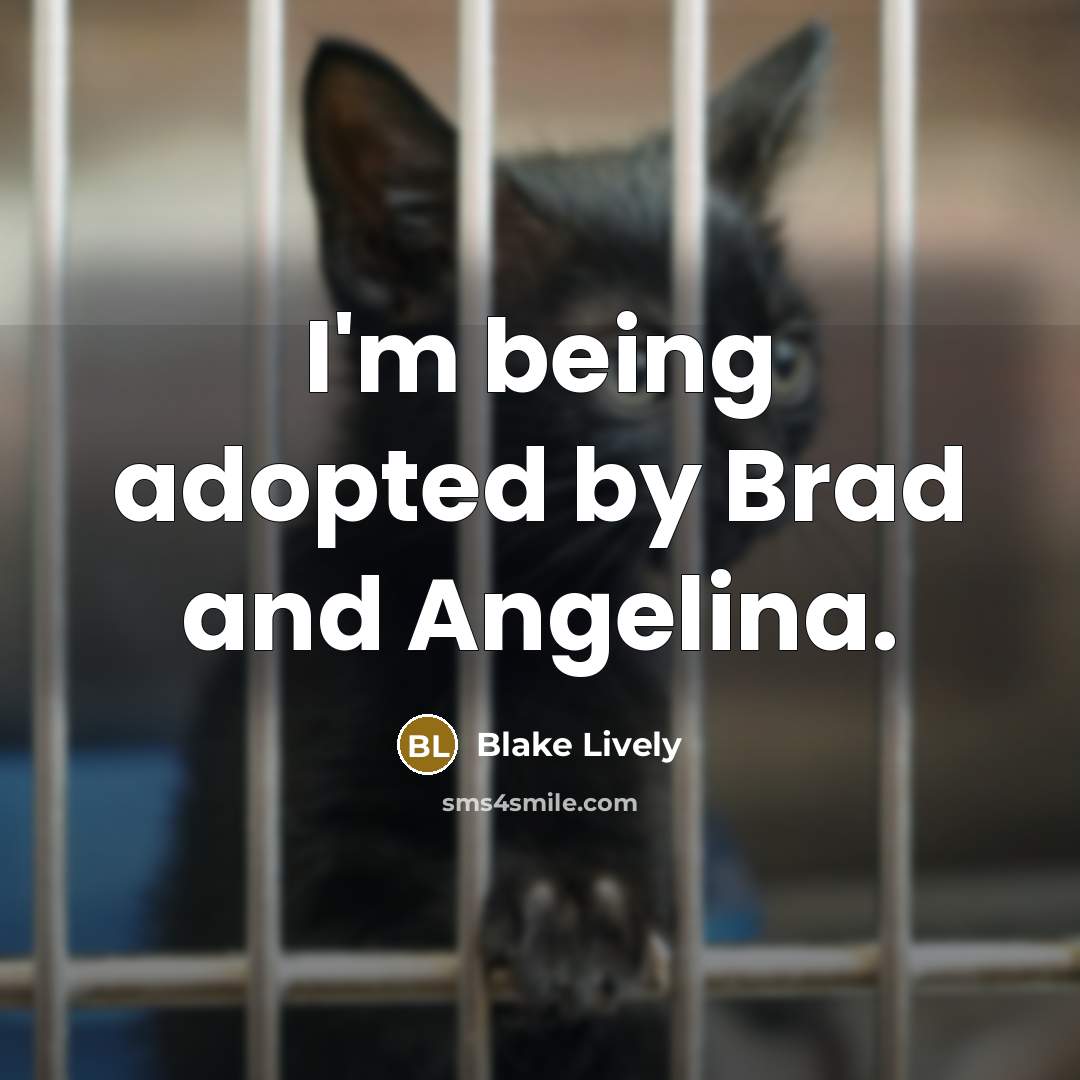 “I'm being adopted by Brad and Angelina.…” quote by Blake Lively