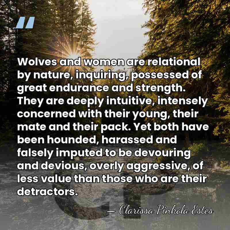 Wolves and women are relational by nature, inquiring, possessed of great endurance&hellip; - Clarissa Pinkola Estes