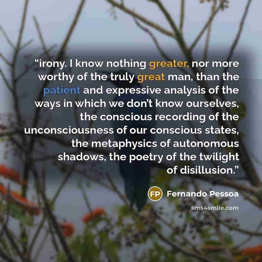 “irony. I know nothing greater, nor more worthy of the truly great man, than the patient and expressive analysis of the ways in which we don’t know ourselves, the conscious recording of the unconsciousness of our conscious states, the metaphysics of autonomous shadows, the poetry of the twilight of…” quote by Fernando Pessoa