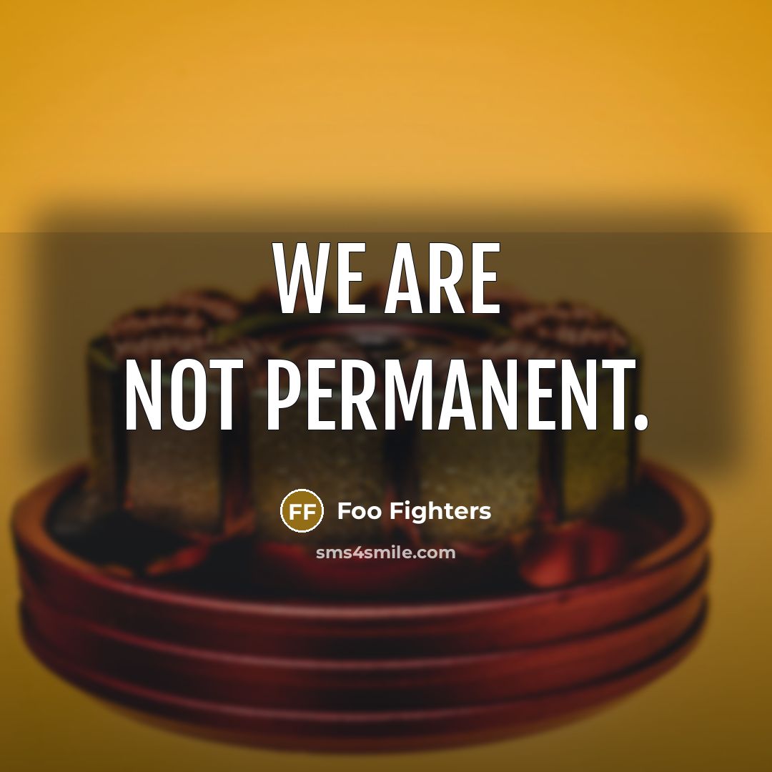 “We are not permanent.” quote by Foo Fighters
