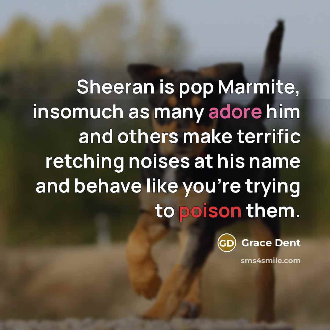 “Sheeran is pop Marmite, insomuch as many adore him and others make terrific retching noises at his name and behave like you're trying to poison them.” quote by Grace Dent