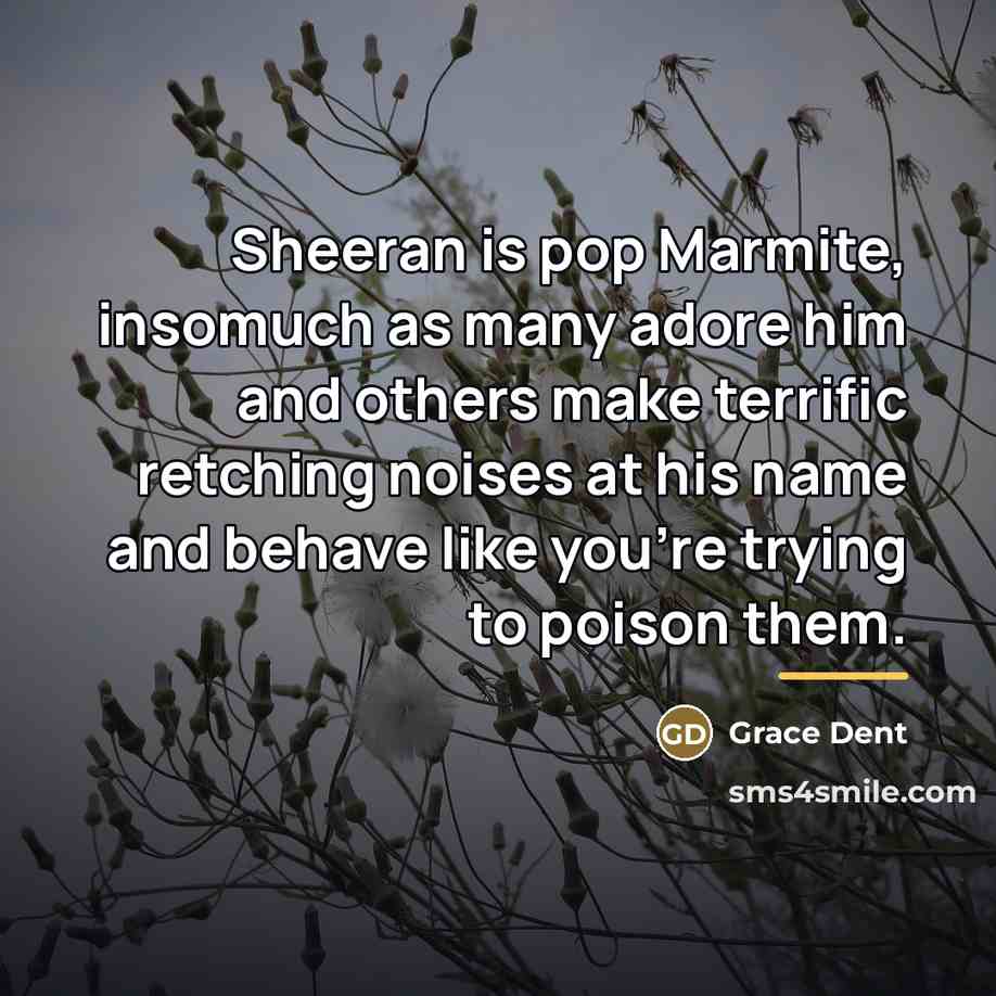 “Sheeran is pop Marmite, insomuch as many adore him and…” quote by Grace Dent