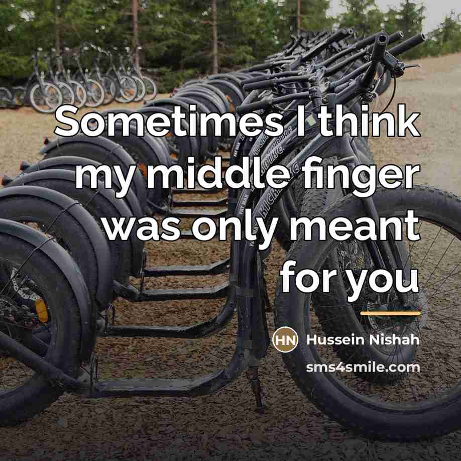 “Sometimes I think my middle finger was only meant for…” quote by Hussein Nishah