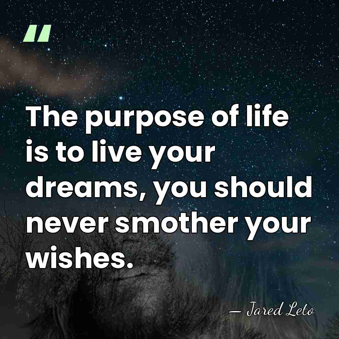 The purpose of life is to live your dreams, you should never&hellip; - Jared Leto