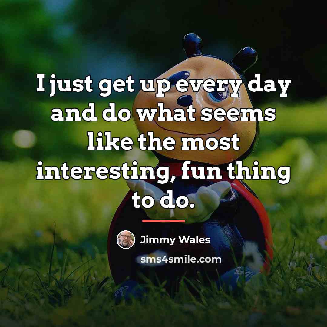 “I just get up every day and do what seems…” quote by Jimmy Wales