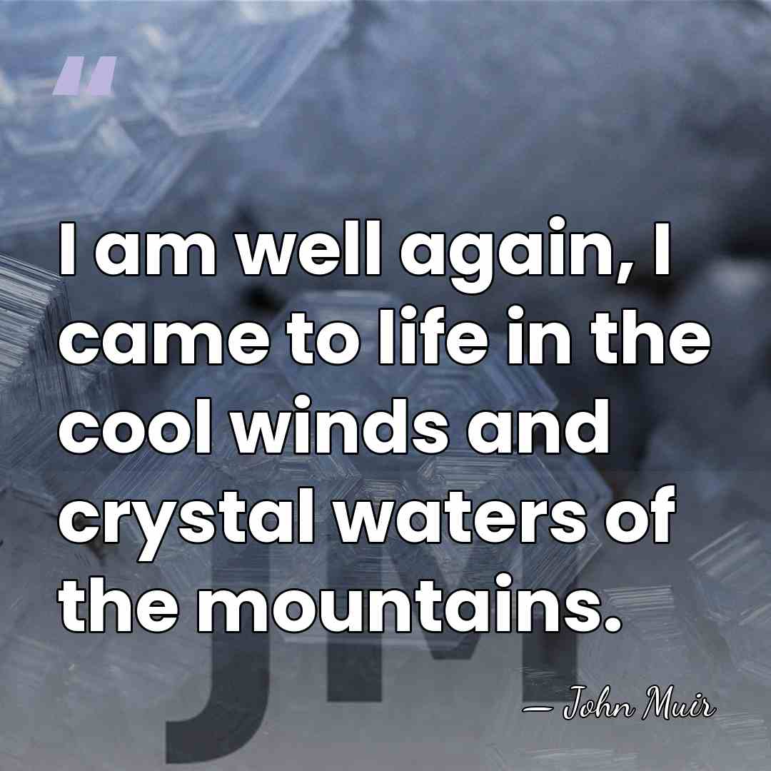 I am well again, I came to life in the cool winds&hellip; - John Muir