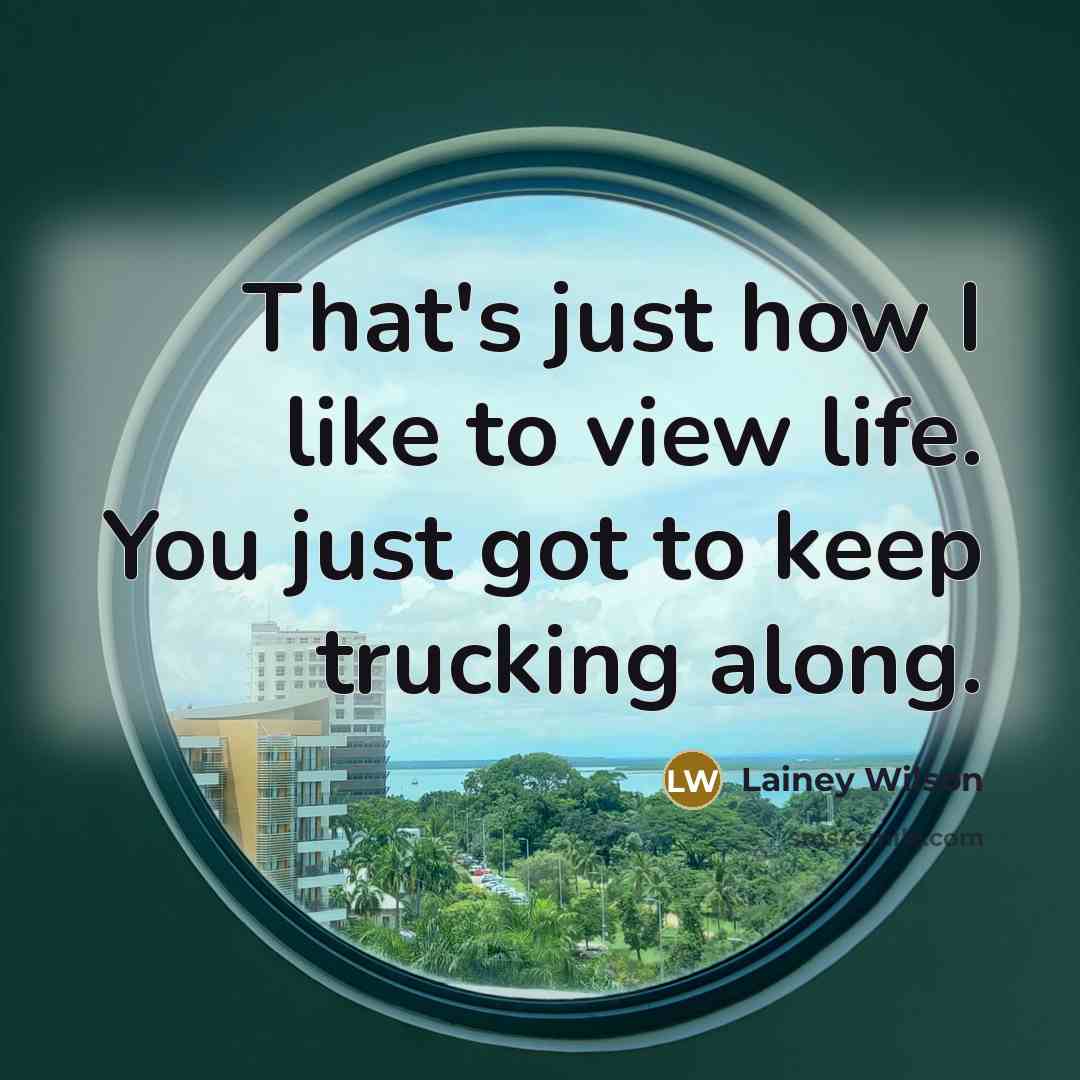 “That's just how I like to view life. You just…” quote by Lainey Wilson