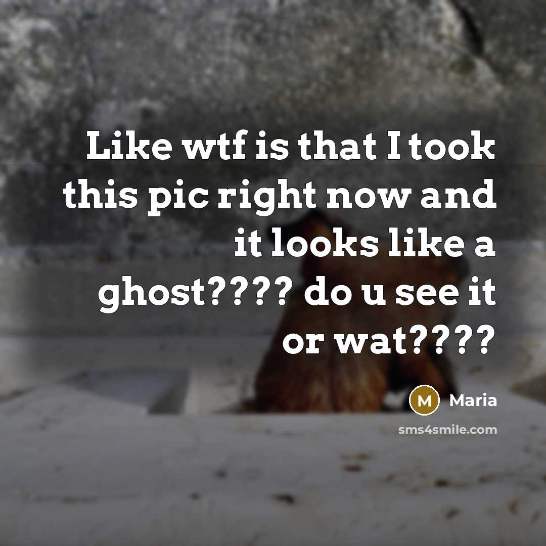 “Like wtf is that I took this pic right now…” quote by Maria