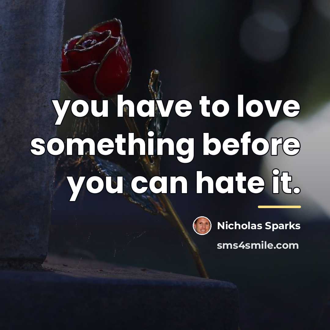 “you have to love something before you can hate it.…” quote by Nicholas Sparks