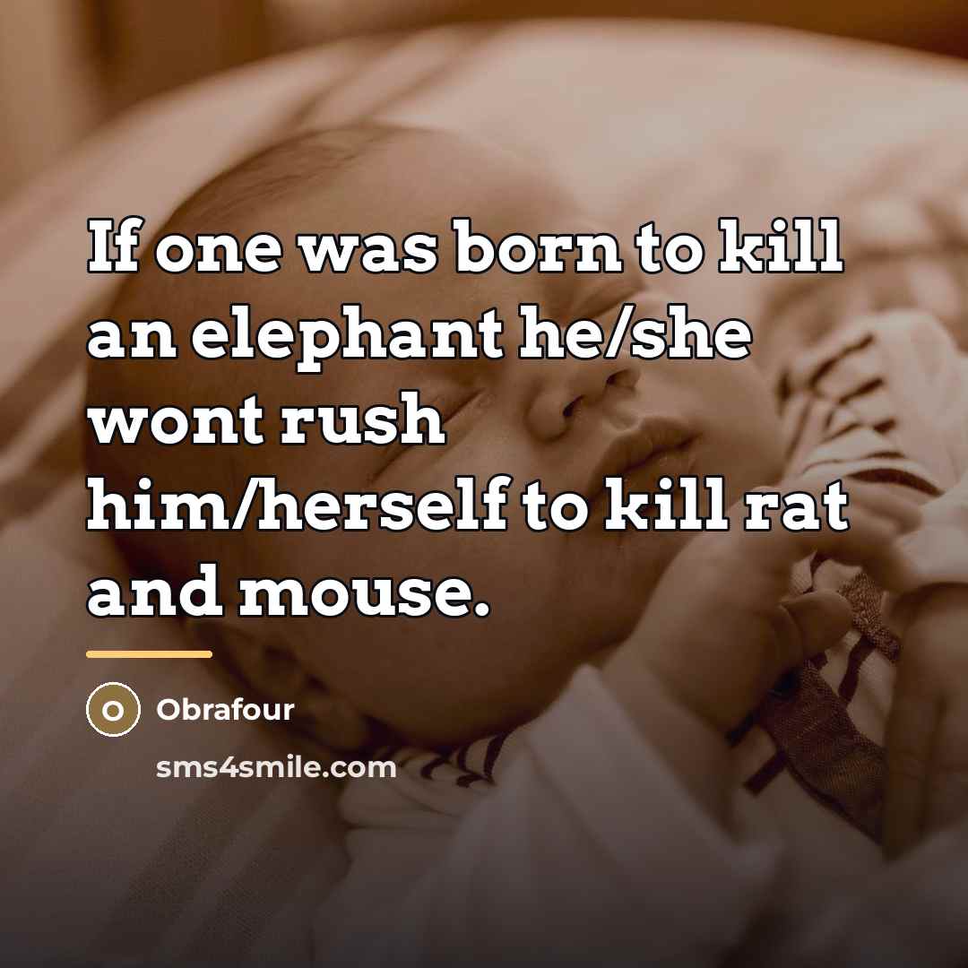 “If one was born to kill an elephant he/she wont…” quote by Obrafour