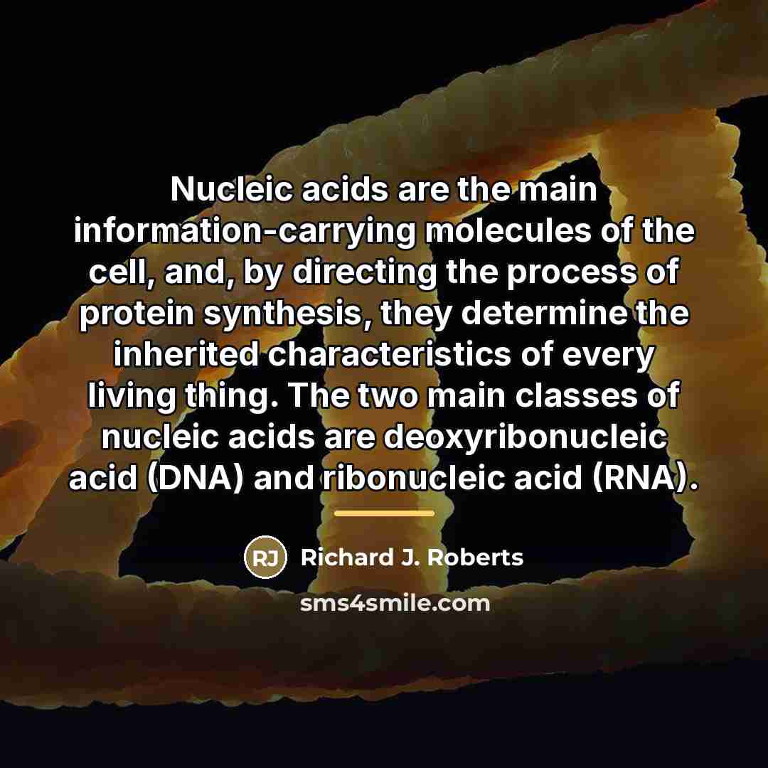 “Nucleic acids are the main information-carrying molecules of the cell,…” quote by Richard J. Roberts