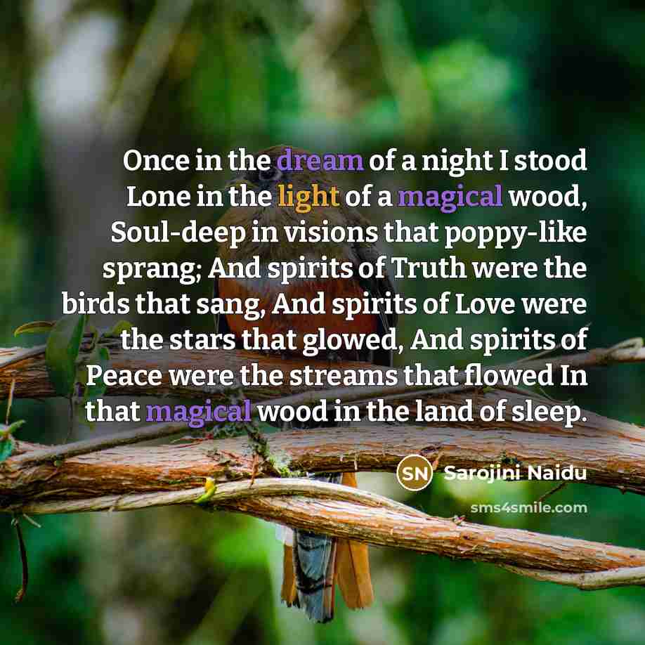 “Once in the dream of a night I stood Lone…” quote by Sarojini Naidu