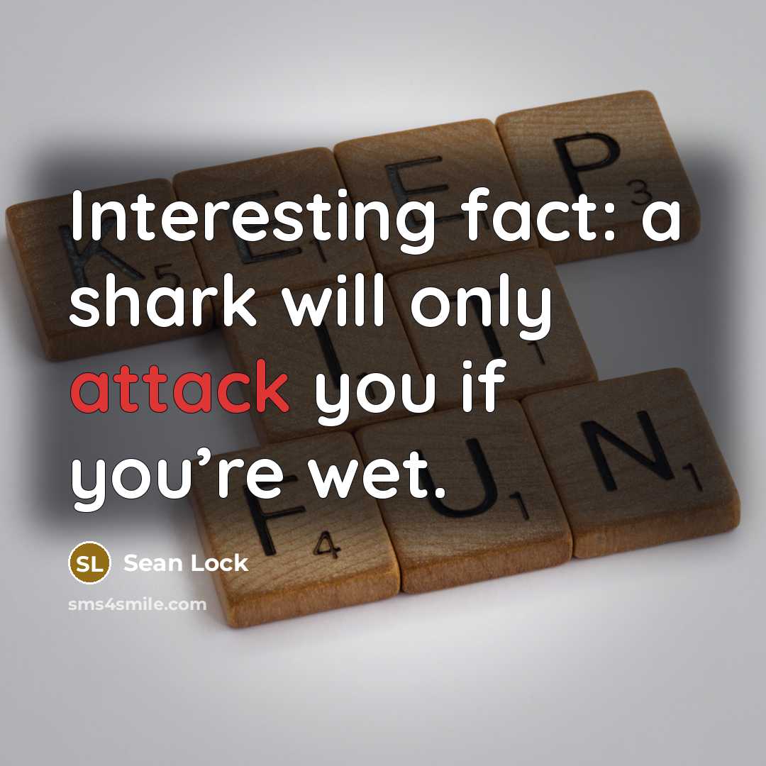 “Interesting fact: a shark will only attack you if you’re…” quote by Sean Lock