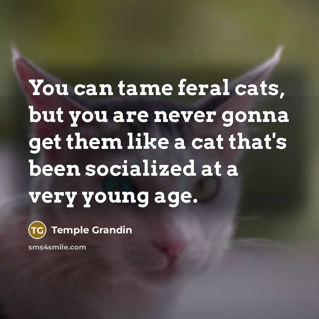 “You can tame feral cats, but you are never gonna…” quote by Temple Grandin