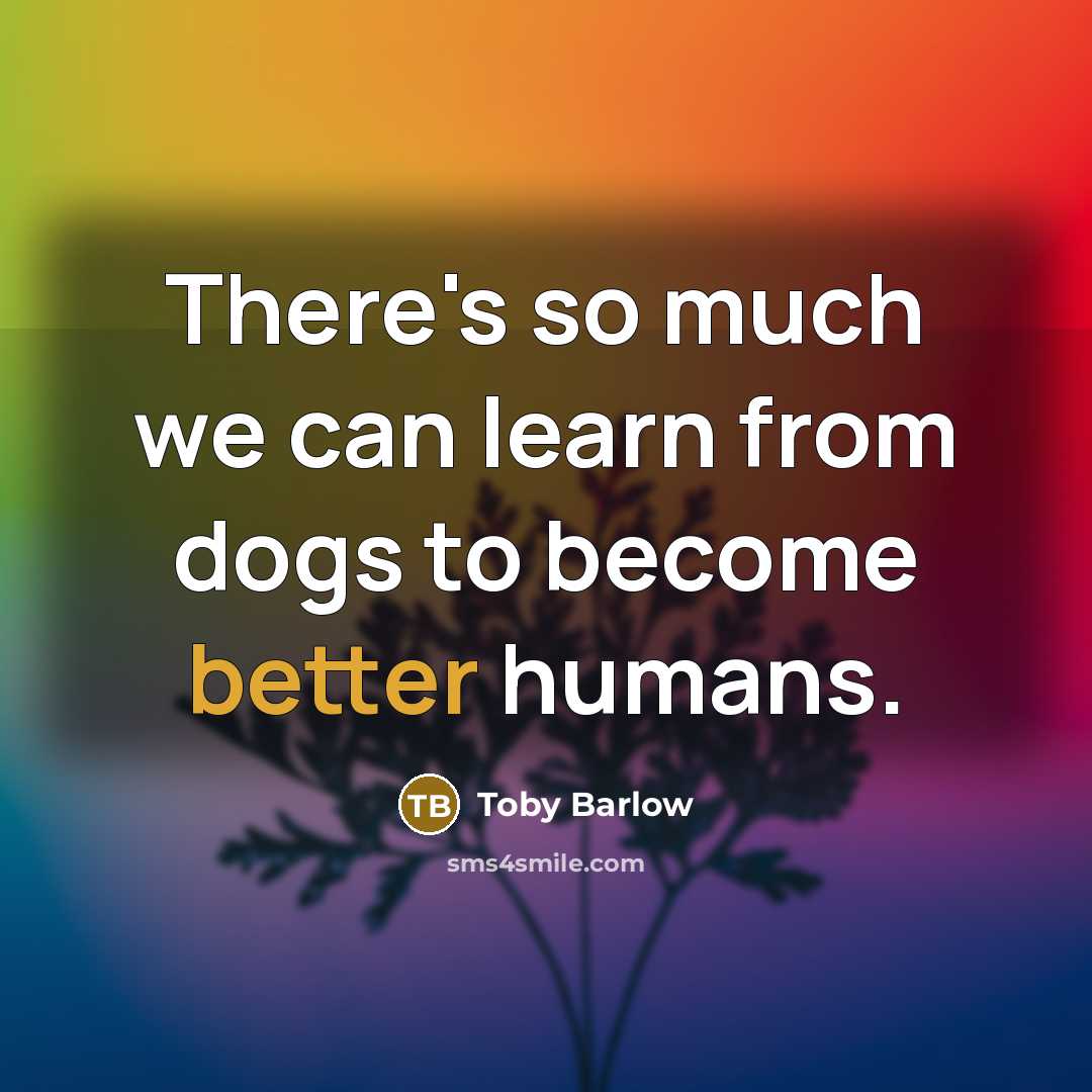 “There's so much we can learn from dogs to become better humans.” quote by Toby Barlow