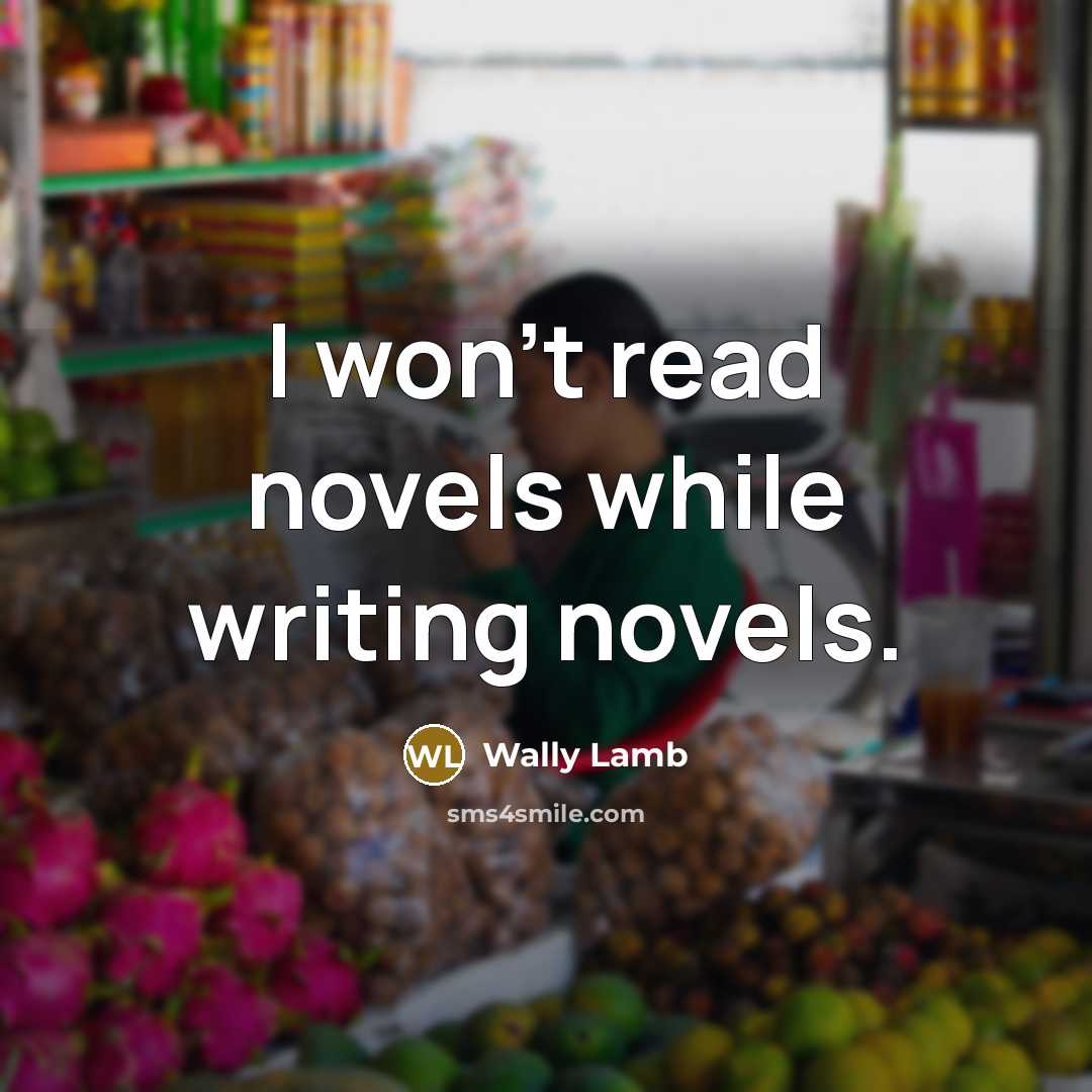 “I won't read novels while writing novels.…” quote by Wally Lamb