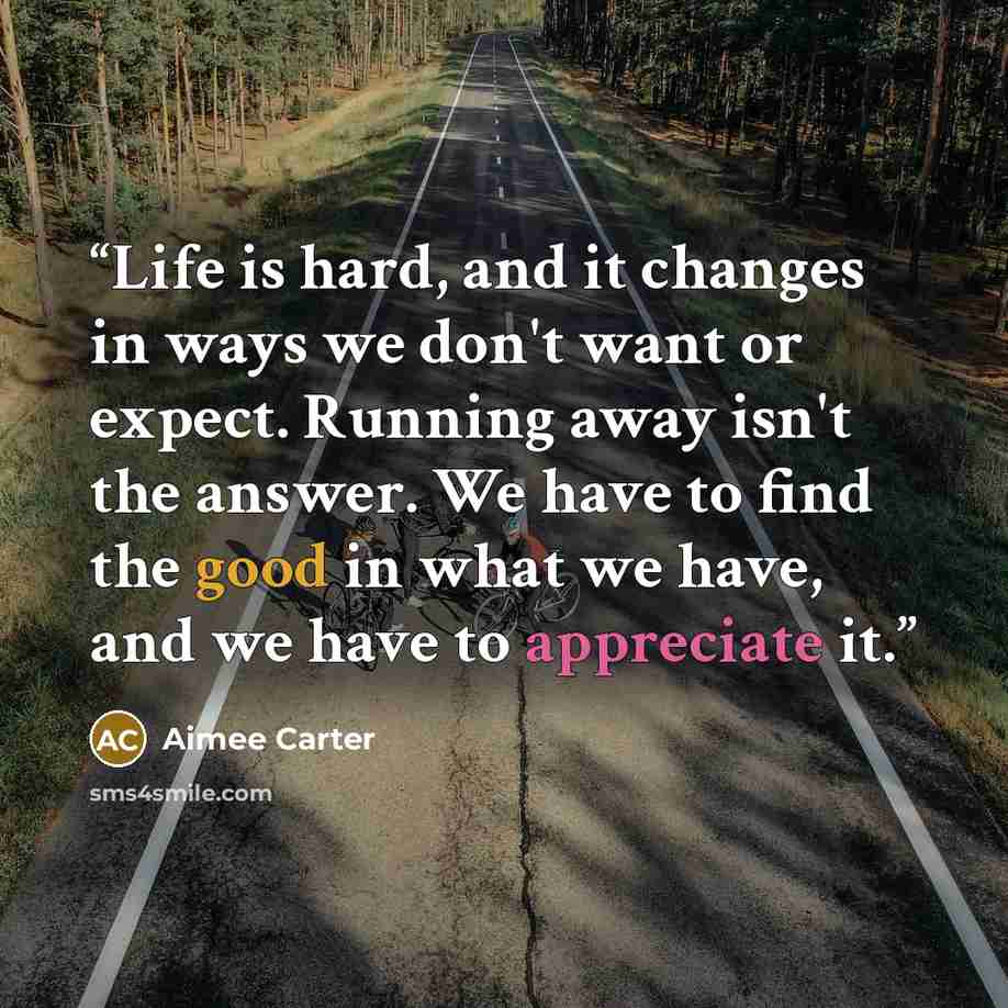 “Life is hard, and it changes in ways we don't want or expect. Running away isn't the answer. We have to find the good in what we have, and we have to appreciate it.” quote by Aimee Carter